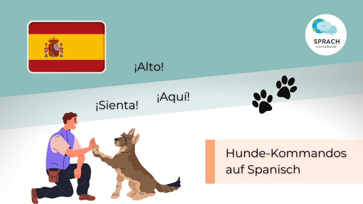 Beitragsbild Hundekommandos auf Spanisch