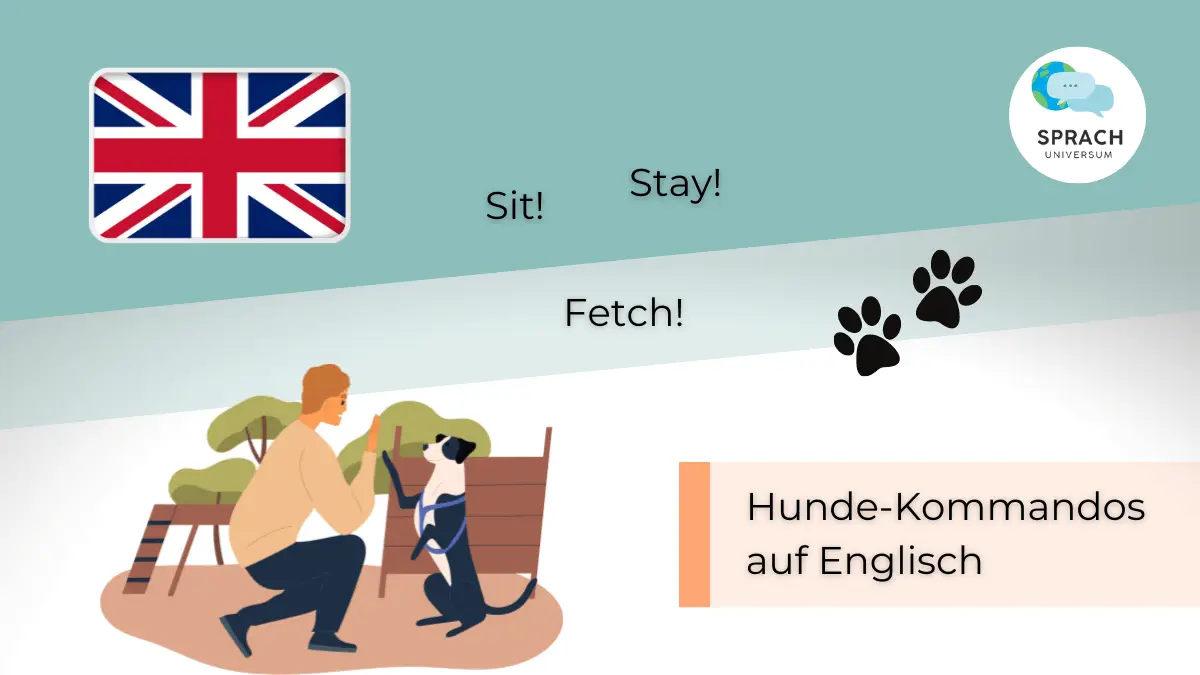 Die wichtigsten Hundekommandos auf Englisch | Guide